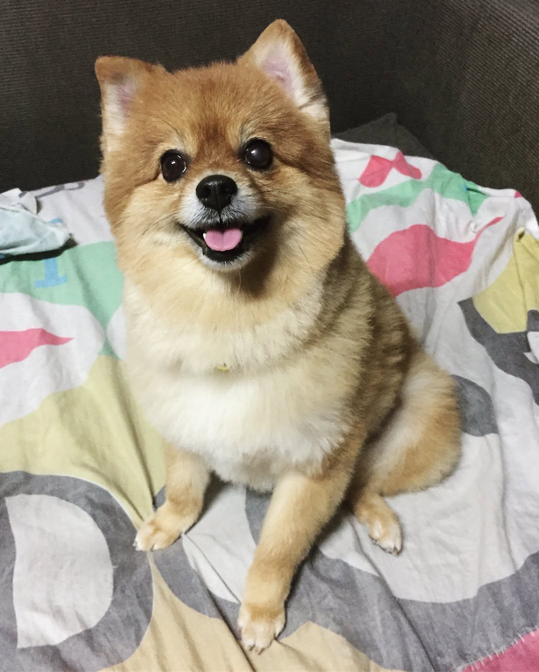 รูปน้อง MUFFIN